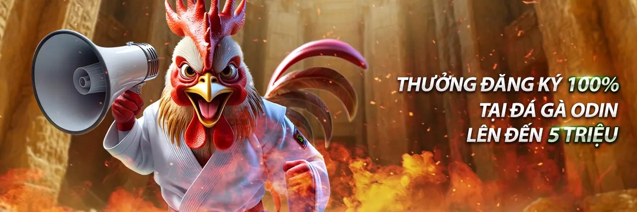 Đá gà trực tuyến kịch tính tại 33win4 đăng nhập